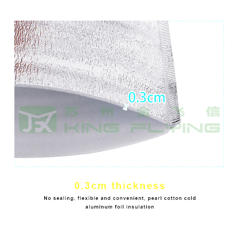 Custom Disposable Aluminium Foil Ice Cooler Thermal Insulated Packaging Bag