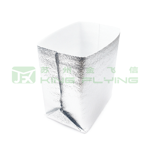 Custom Disposable Thermal Insulated Aluminium Foil Ice Cooler Bag