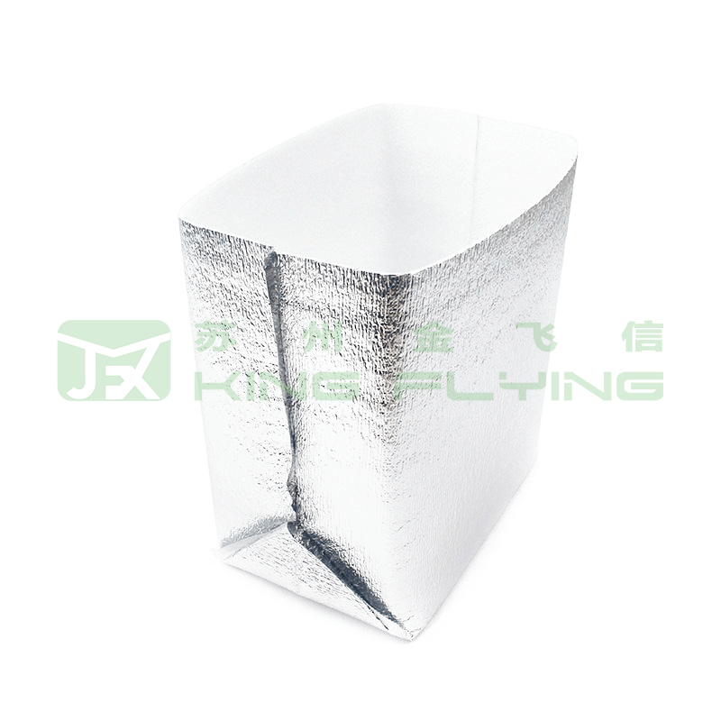 Custom Disposable Thermal Insulated Aluminium Foil Ice Cooler Bag