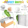 Takeaway Fresh Fruit Barbecue Cold And Hot Packaging Bag