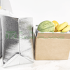 Good Quality Thermal Insulated Foil Cooler Food Packaging Bag