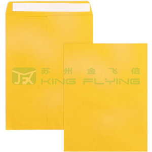 Customized Printing Design Paper Recycled Kraft Expandable Cardboard Packaging Mailer