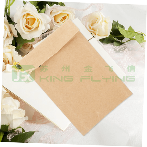 Honeycomb Padded 100% Compostable Kraft Paper Shipping Bag