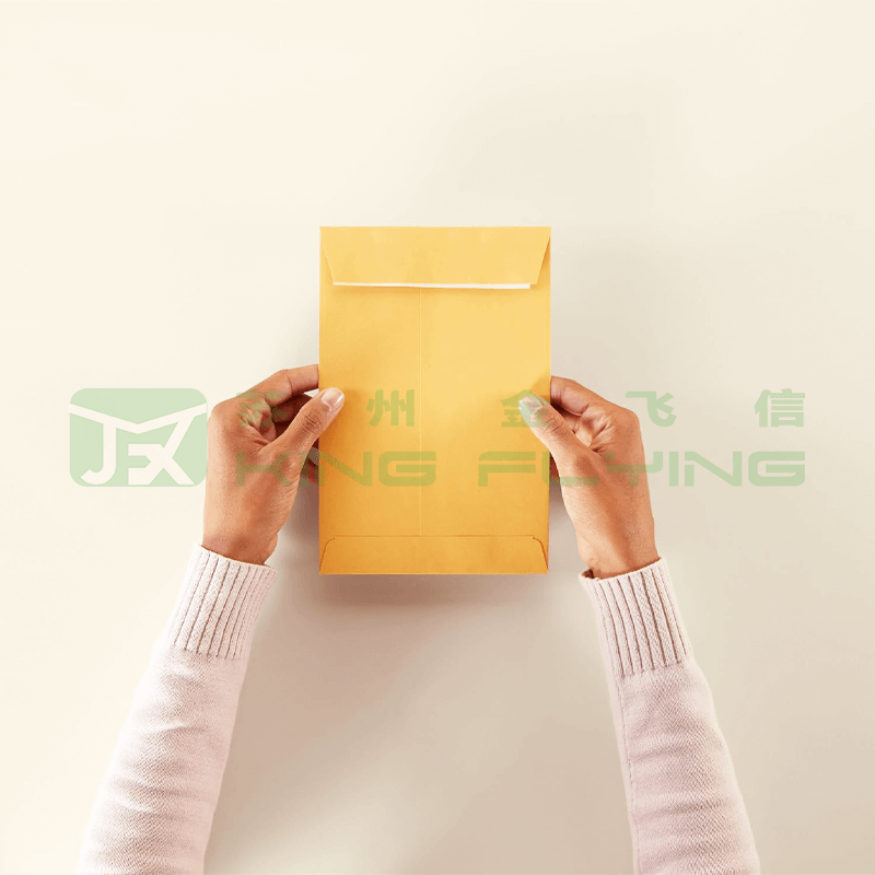 Custom Printed Compostable Kraft Paper Wholesale Clothes Packaging Envelope