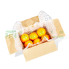 Air Void Fill Bubble Packaging Film For Protecting Fragile Cargo
