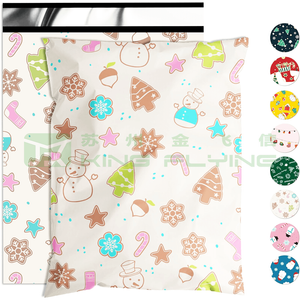 Custom Printed With Logo Recyclable Plastic Courier Bag For Clothes