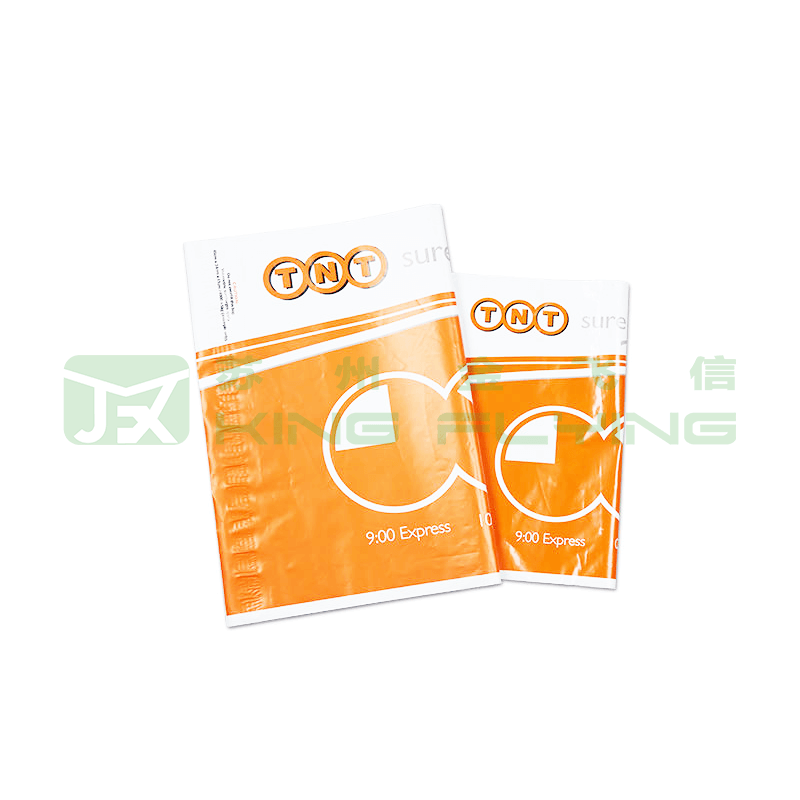 Custom Logo Printed Express Jewelry Plastic Packaging Bag