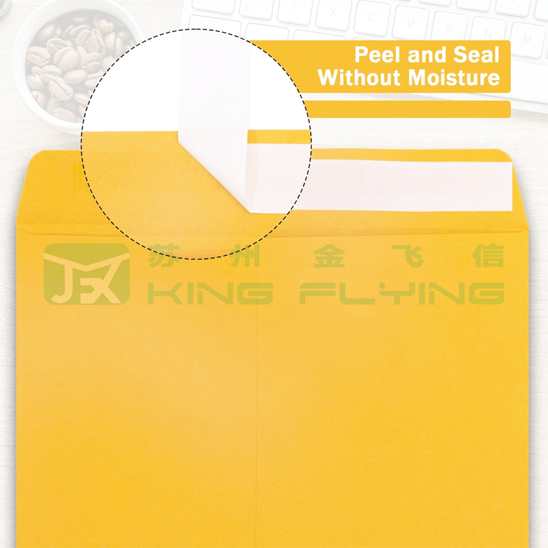Customized Printing Design Paper Recycled Kraft Expandable Cardboard Packaging Mailer
