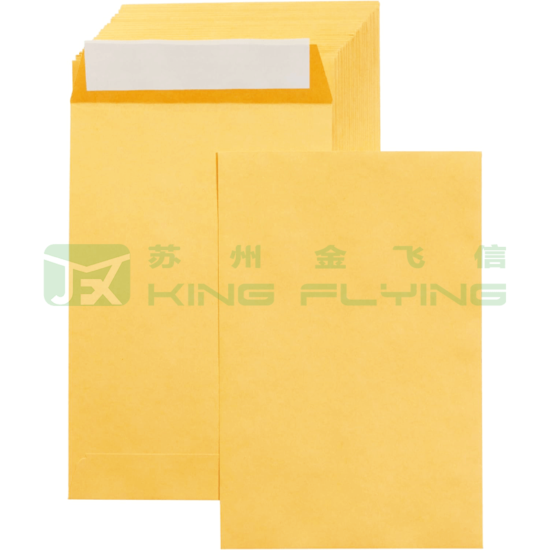 Custom Printed Compostable Kraft Paper Wholesale Clothes Packaging Envelope