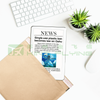 Shockproof 100% Compostable Honeycomb Padded Kraft Paper Express Packaging Envelope