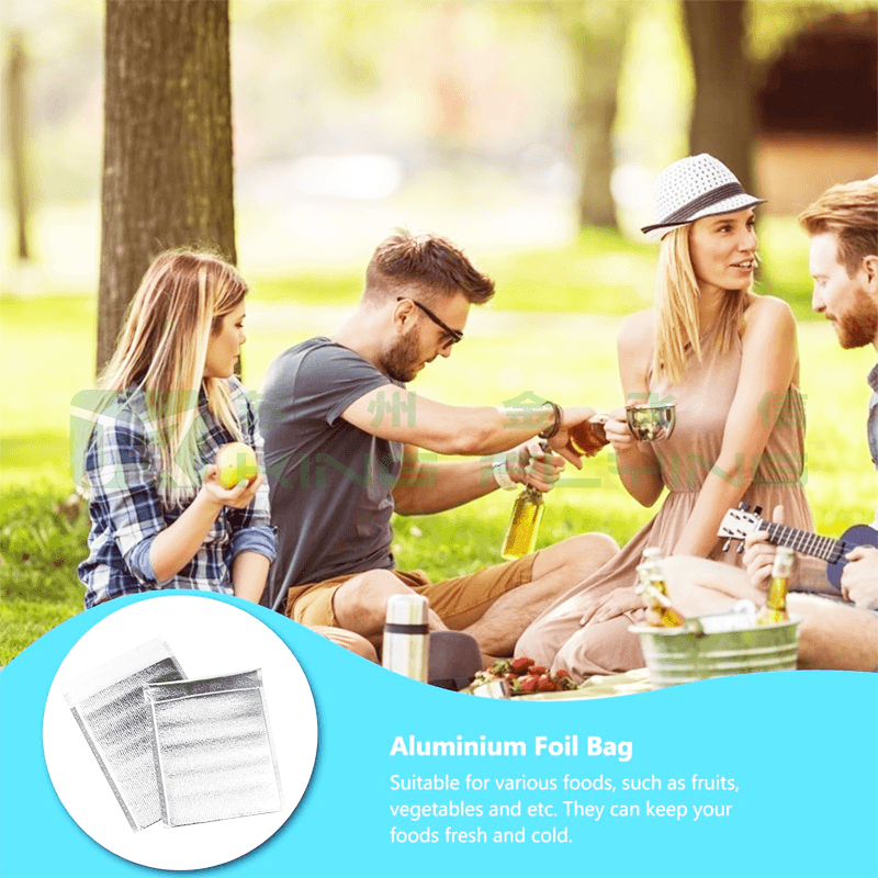 Good Quality Thermal Insulated Foil Cooler Food Packaging Bag