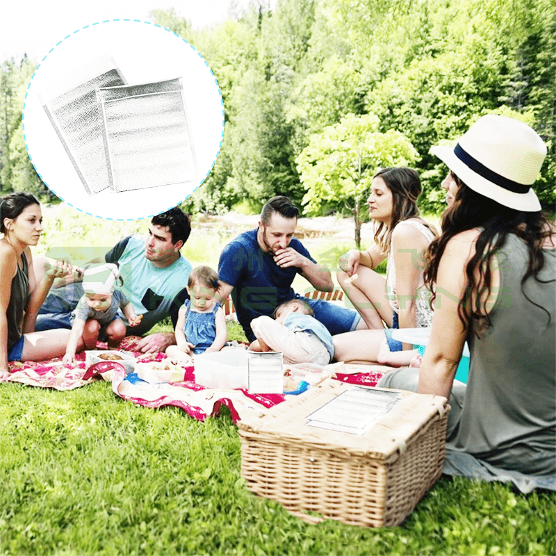 Aluminum Film Pearl Cotton Packaging Takeaway Insulation Refrigerated Cooler Bag